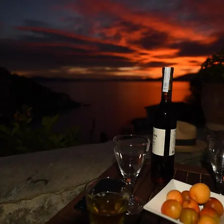 Sunset Hydra